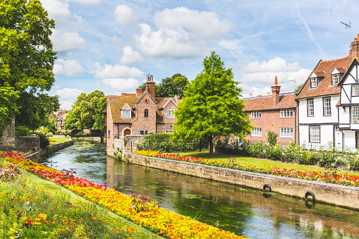 View of typical houses and buildings in Canterbury, England. Flowers and trees along the canal in summer. Postcard image on a sunny day. Architecture, nature and travel concepts.