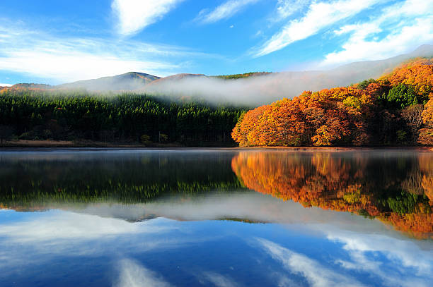istock Yellow leaves and lake 609091022