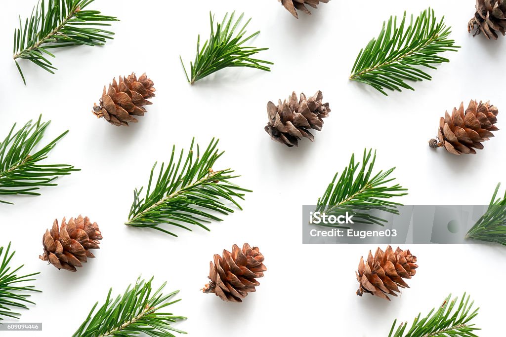 Fir twigs and cones pattern Christmas design background from coniferous twigs and cones Pine Wood - Material Stock Photo