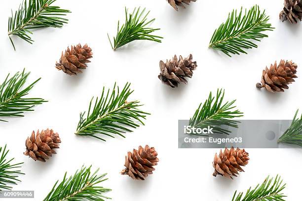 Fir Twigs And Cones Pattern Stock Photo - Download Image Now - Pine Wood - Material, Needle - Plant Part, Branch - Plant Part