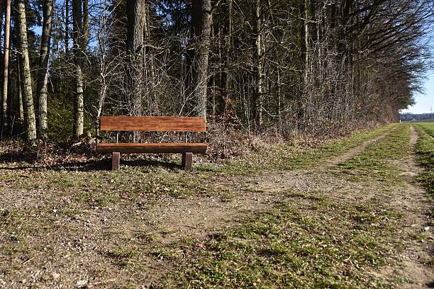 istock Empty Wooden Bench On Field Against Trees 609192491