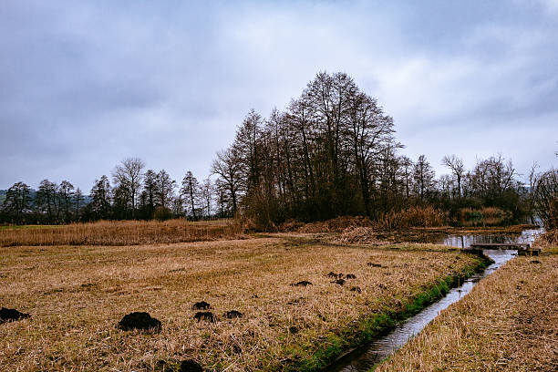 istock High Angle View Of Stream Flowing Amidst Field 609246285