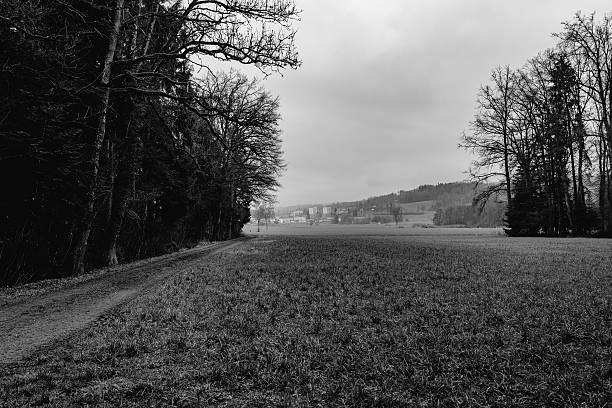 Pictures taken on the family property in Elk, Washington.