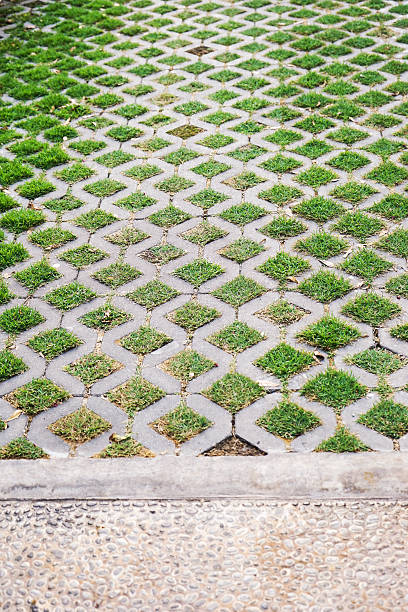 istock green grass in gray brick hole 609426010