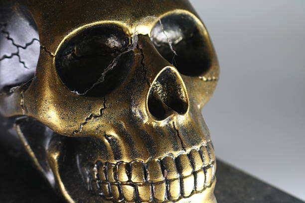 istock Close up of Fake Bronze Skull 609440246