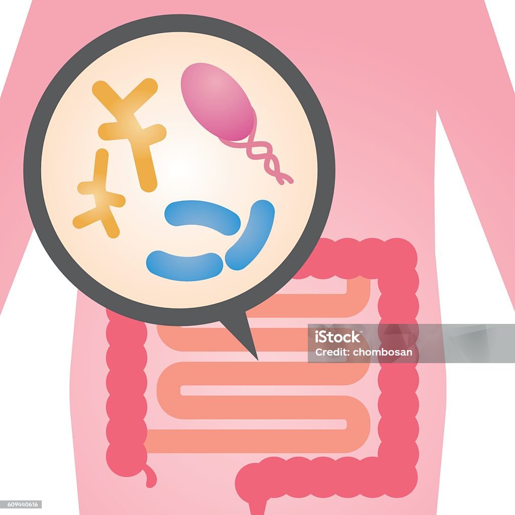 Flora Intestinala Intestinal Flora Gut Flora Enteric Bacteria Image Illustration Stock ...