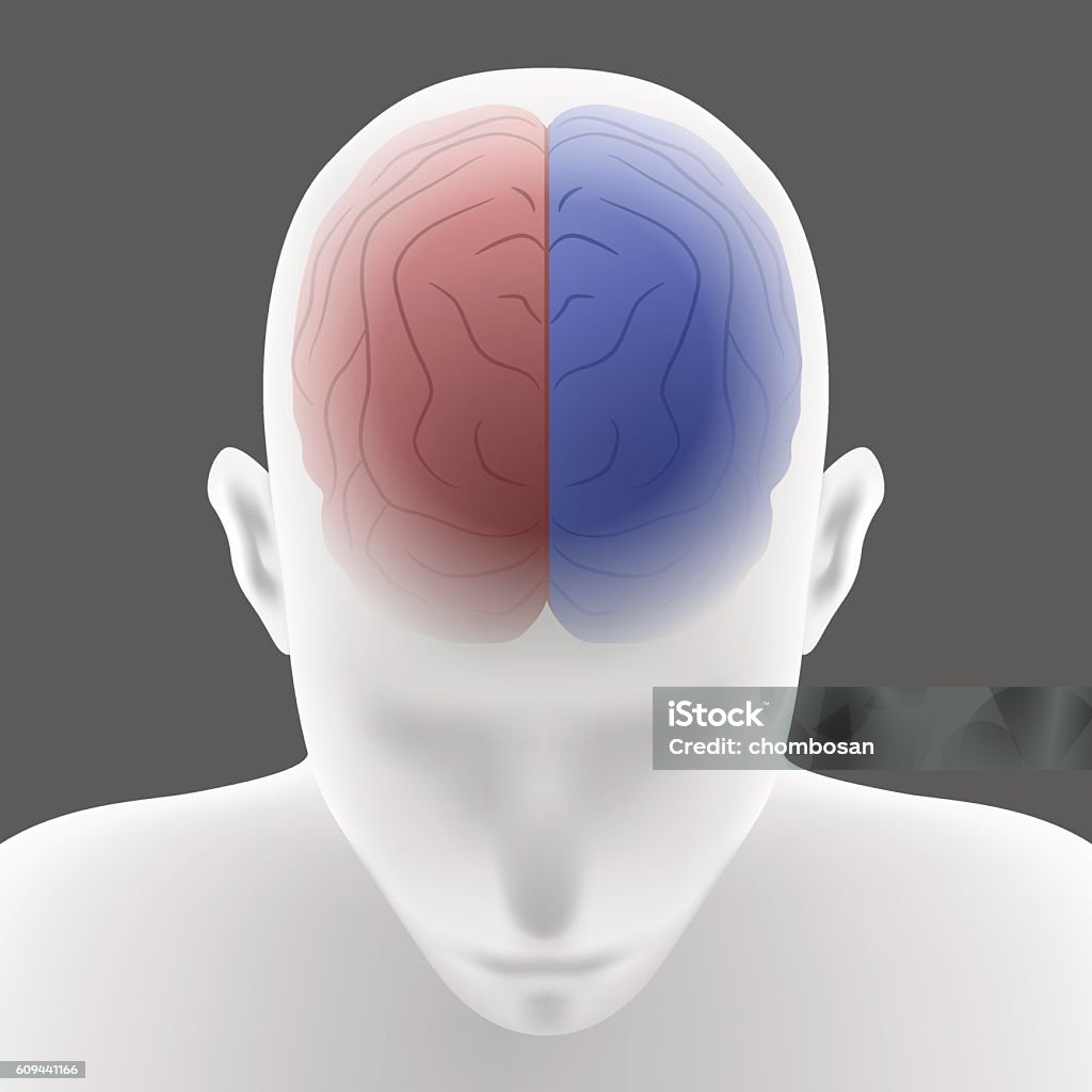 Top Right Hand Brain Top View Left Right