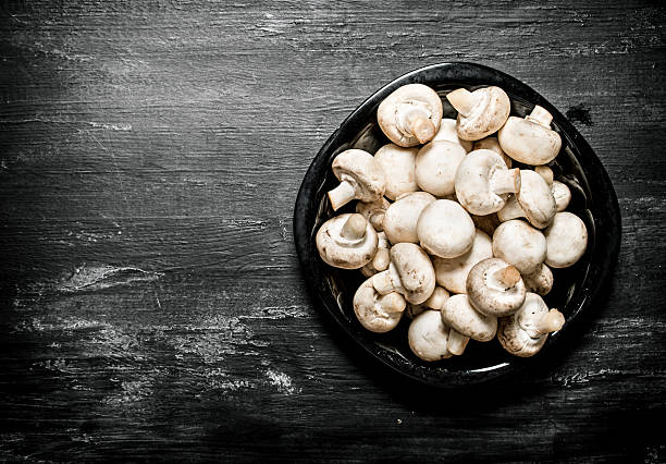 istock Fresh mushrooms on the plate.  black rustic background. 609441950