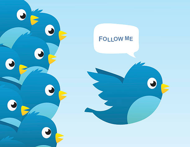 Follow me Social media bird vector illustration bluebird bird stock illustrations