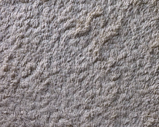 istock Dirty white carpeting texture with large pile 609443146