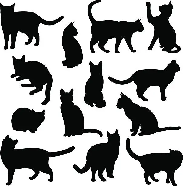 Vector illustration of Cats Silhouettes
