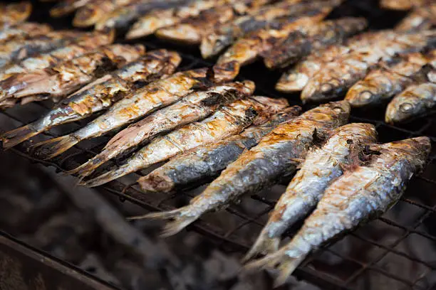 Closeup view on traditional catalan dish frying sardines