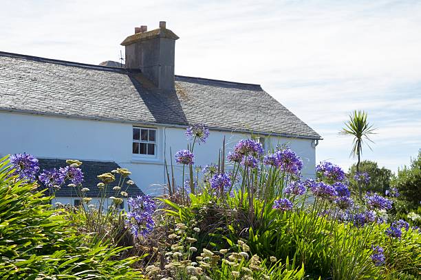 Scillonian cottage, Tresco, Isles of Scilly, England Scillonian cottage, Tresco, Isles of Scilly, Cornwall, England. tresco stock pictures, royalty-free photos & images