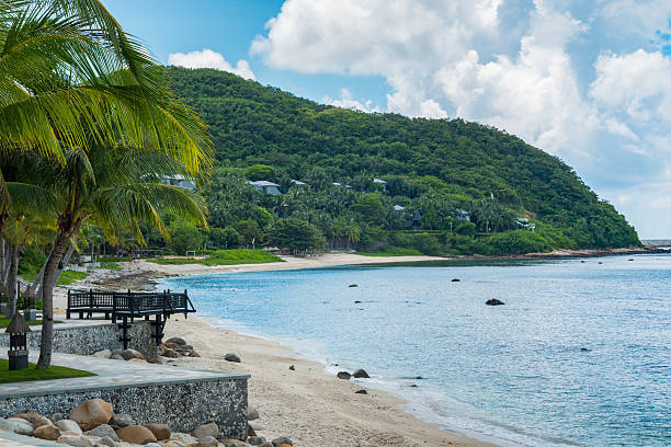 istock Coconut palm tree with Beautiful Tropical beach 609683834