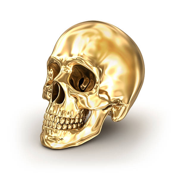 istock Golden human skull over white , 3D illustration 609684508