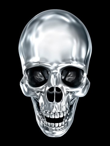 A model of a human skull.