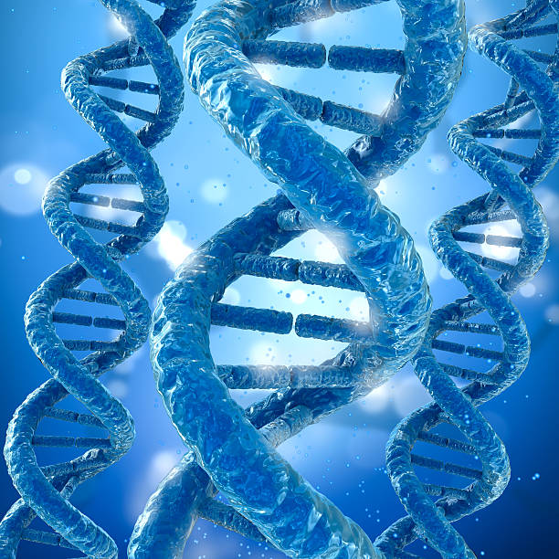istock DNA molecule concept, Medical accurate 3D illustration 609685554