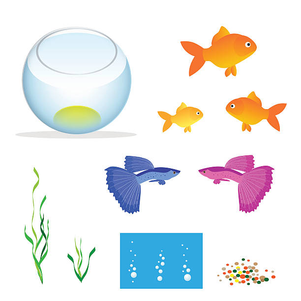 illustrazioni stock, clip art, cartoni animati e icone di tendenza di acquario isometrico con pesci - fish tank