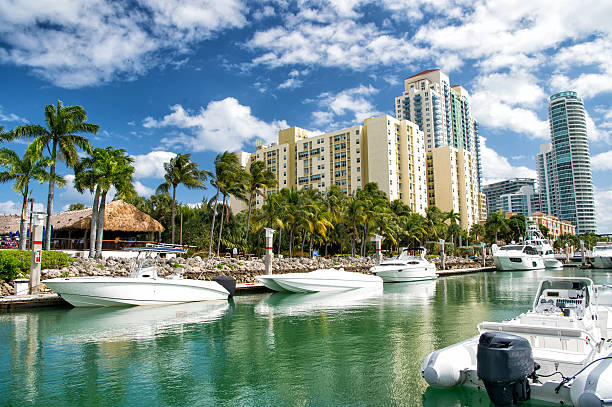 hotel buildings with yachts and palm trees