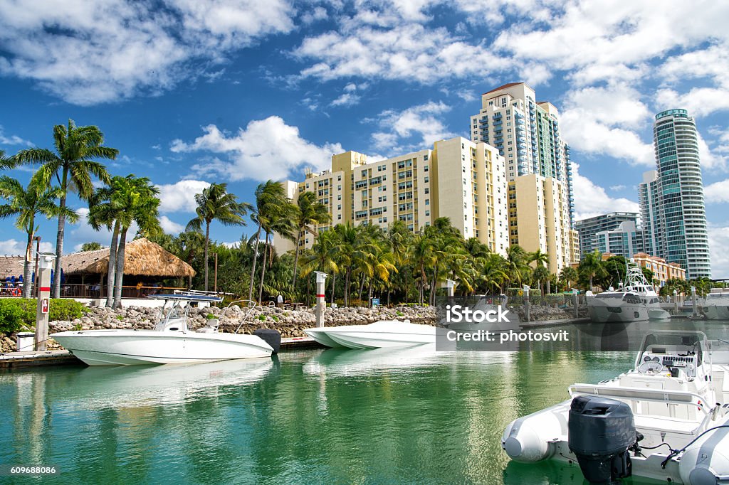 hotel buildings with yachts and palm trees miami beach coastline with hotel buildings near bay with white yachts and boats with green palm trees on cloudy blue sky background Miami Stock Photo