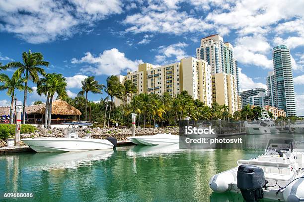 Hotel Buildings With Yachts And Palm Trees Stock Photo - Download Image Now - Miami, Florida - US State, City