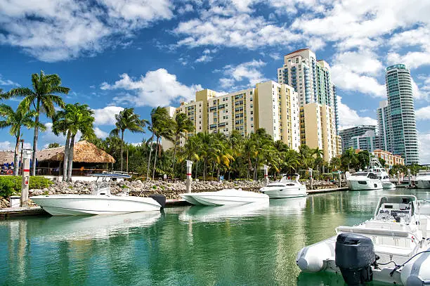 miami beach coastline with hotel buildings near bay with white yachts and boats with green palm trees on cloudy blue sky background