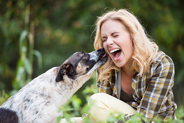 緑の庭で犬と美しいブロンドの女性 - pets stroking licking love ストックフォトと画像