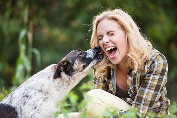 녹색 정원에서 개와 아름다운 금발 여자 - pets stroking licking love 뉴스 사진 이미지