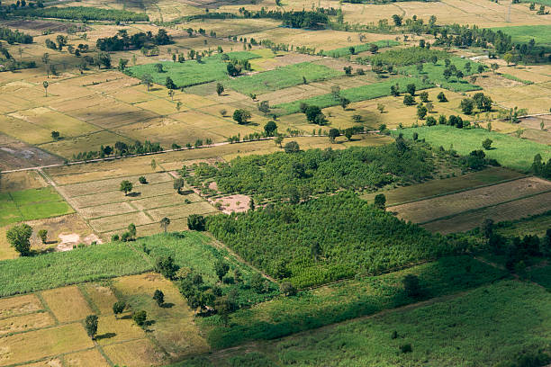 istock THAILAND ISAN BURI RAM LANDSCAPE FIELDS 609692870