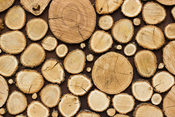 istock Wood texture background have many logs that cut from big 609693304