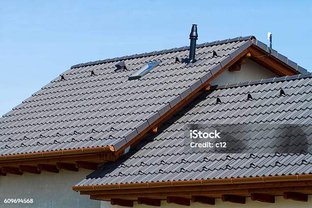 Roof Stock Photo - Download Image Now - Rooftop, Roof Tile, Concrete