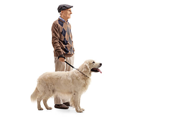 istock Elderly man and his dog 609696562