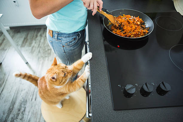 istock vegetables in a pan with tomato and meat 609704214