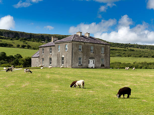 Father Ted Parochial House, The Burren, Co Clare, Ireland Lackareagh, Ireland - June 22, 2016: Sheep grazing in front of the house used for filming the popular 1990s sitcom Father Ted.  county clare stock pictures, royalty-free photos & images