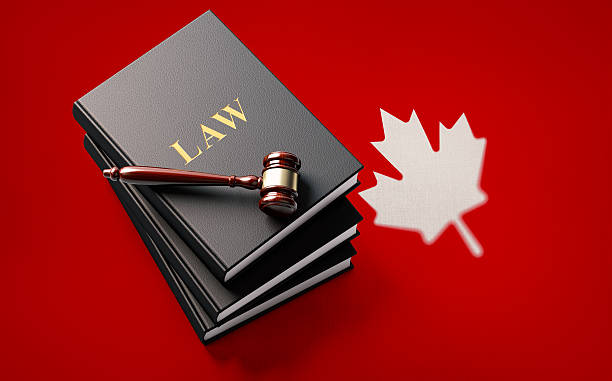 gavel and law books on canadian flag: canadian justice concept - canadian flag flag trial justice foto e immagini stock
