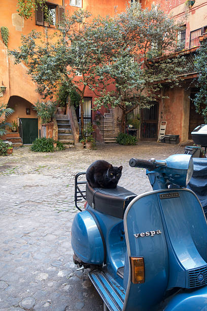 Blue Vespa scooter with cat in rustic courtyard, Rome Italy Rome, Italy - February 2, 2016: Blue Vespa scooter with a black cat on the seat in a rustic Roman courtyard.  courtyard photos stock pictures, royalty-free photos & images