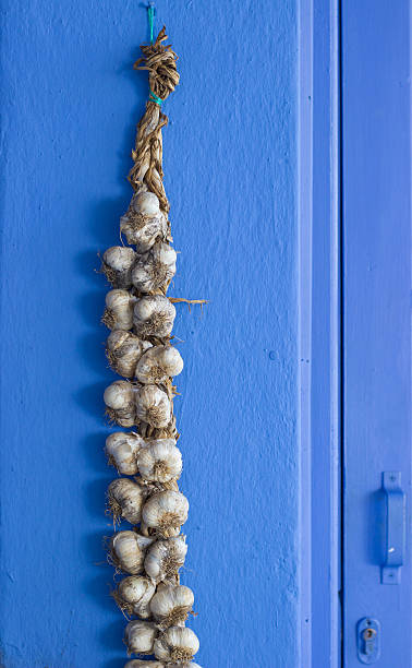 garlic string hanging on the blue wall - garlic hanging string vegetable imagens e fotografias de stock