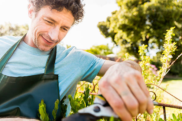 istock Man pruning plants in yard on sunny day 609712176