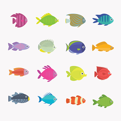 Collection of colorful, bright, different shapes cute fish.