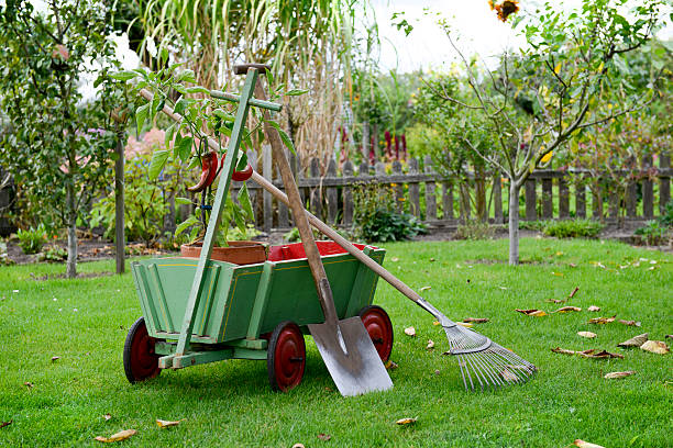 istock Garden - handcart - Gardening 609717442