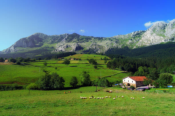 istock house in Axpe in Basque Country 609717576