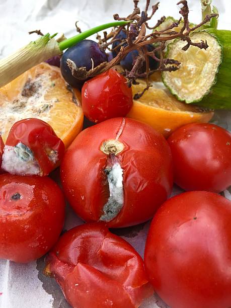 différentes sortes de fruits et légumes pourris - rotting food mold fruit photos et images de collection