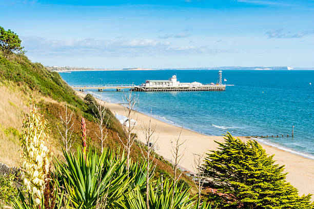 istock Cliff Planting at Bournemouth Beach and Pier 609726556