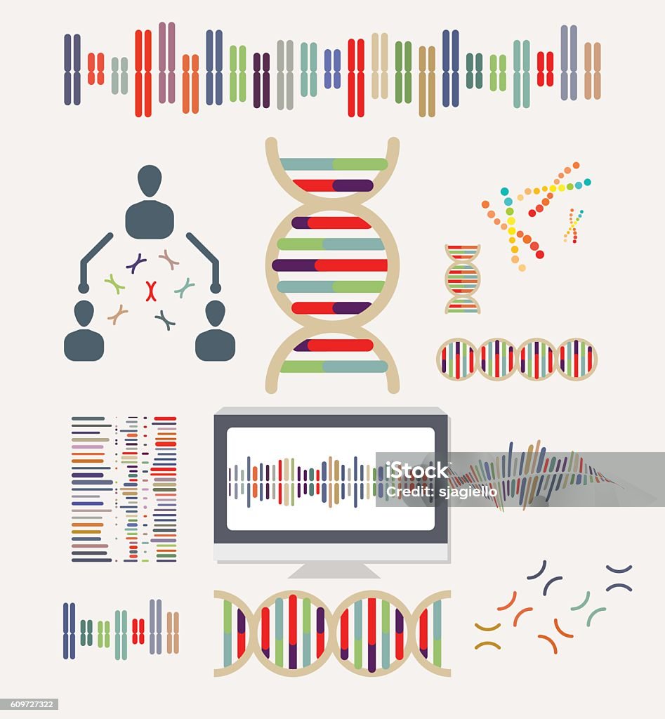 DNA and Chromosomes DNA and Chromosomes Icons Chromosome stock vector