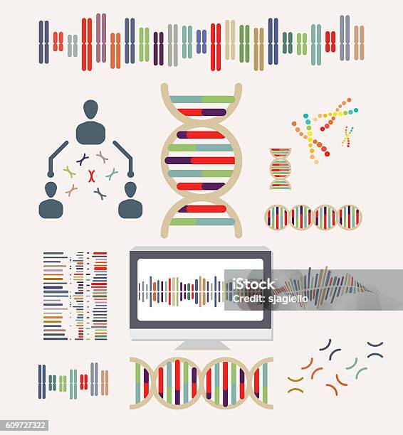 Dna And Chromosomes Stock Illustration - Download Image Now - Chromosome, Vector, Family Tree