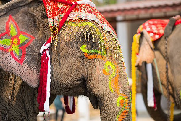 istock Close up of colorful painted elephant head 609790934