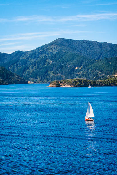 barca a vela sul queen charlotte sound dello stretto di cook, nuova zelanda - cook strait foto e immagini stock