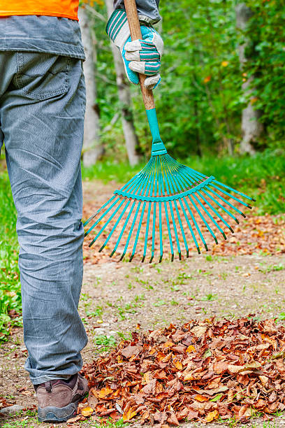 istock Man with rake near to the fall leaves in park 609792894
