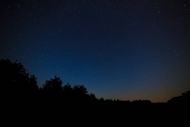 istock Night sky with bright stars. Against the background of tree 609794536