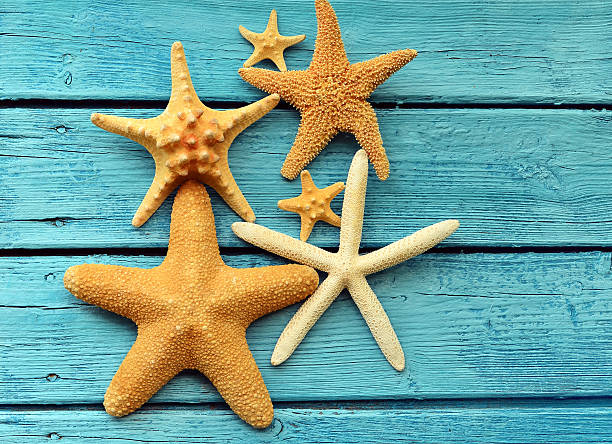 istock Starfish on blue wooden background. Top view . 609795014